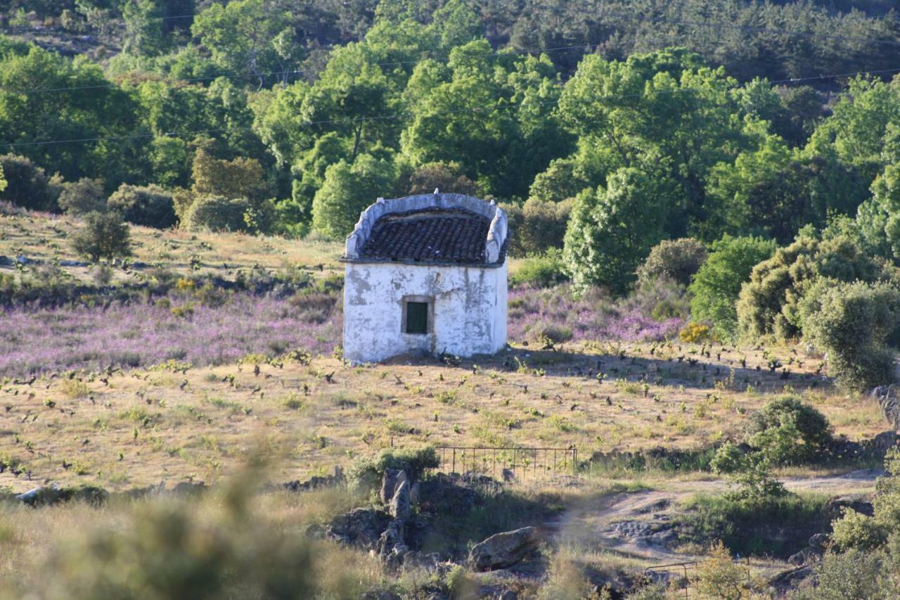 Casa De L Barrio Konuk evi Picote Dış mekan fotoğraf