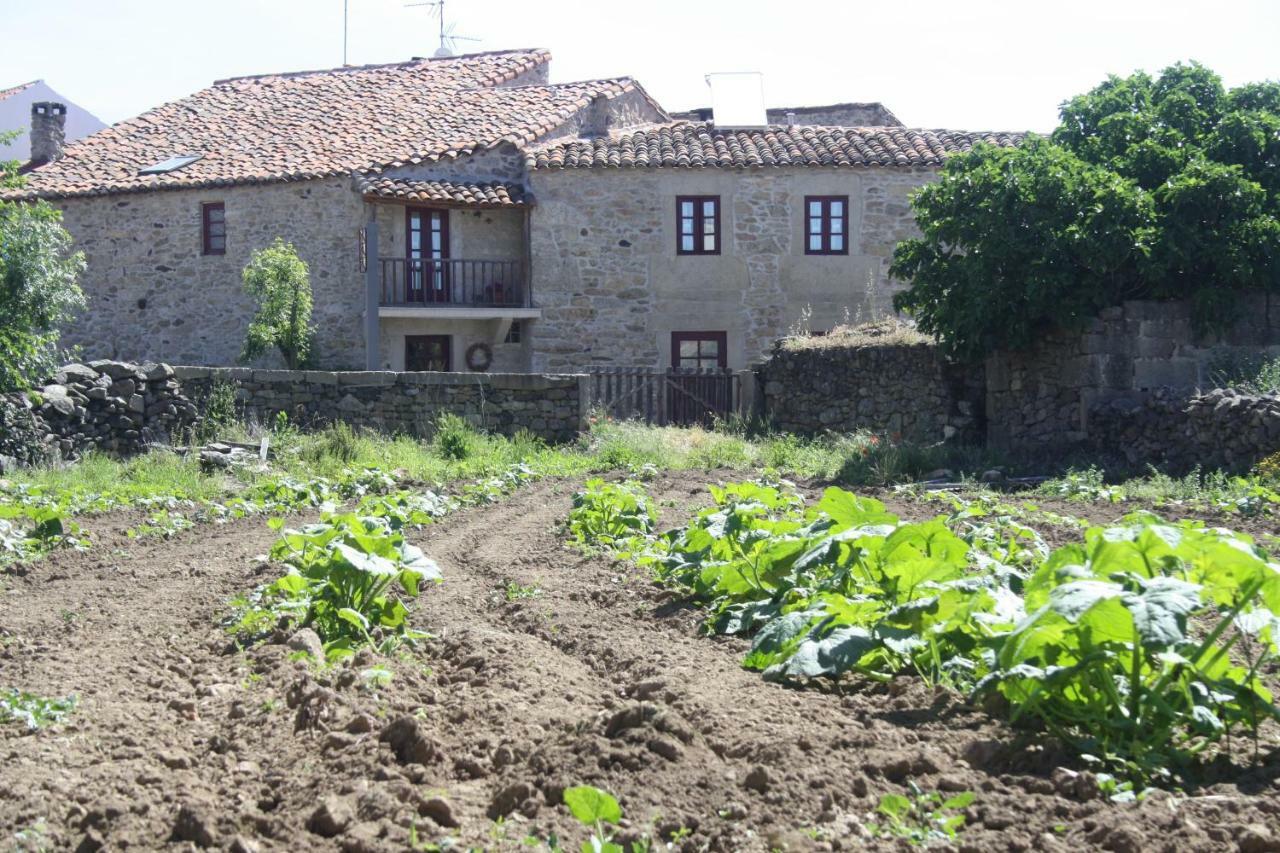 Casa De L Barrio Konuk evi Picote Dış mekan fotoğraf